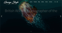 Desktop Screenshot of georgestoyle.com
